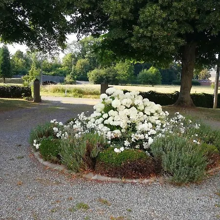 Le Moulin Des Falihottes Bed & Breakfast *